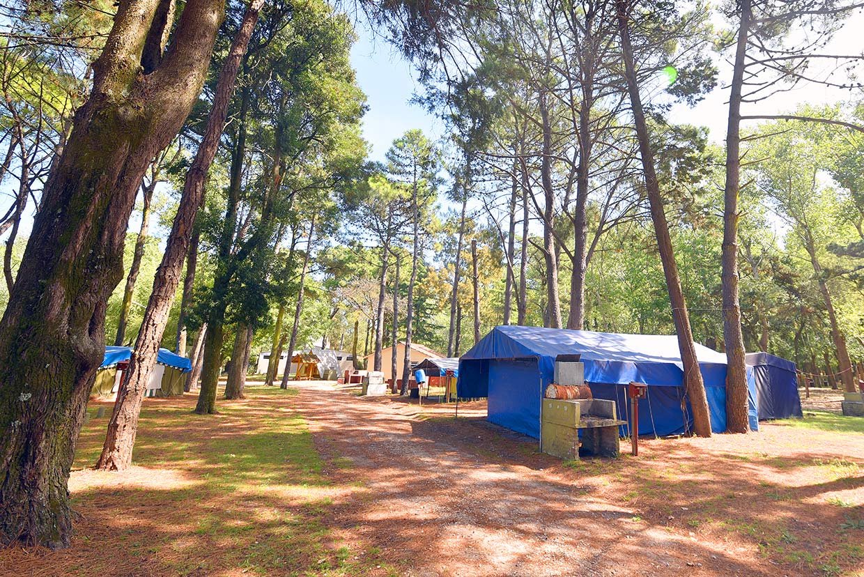images/campings/mar-del-plata-completo-el-griego/1.jpg